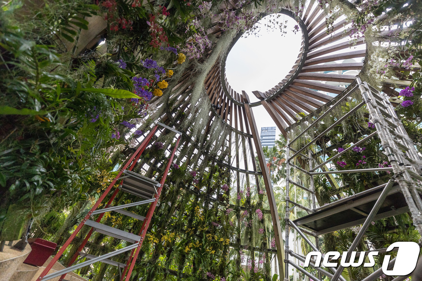 (싱가포르=뉴스1) 유승관 기자 = 30일 북미정상회담장 혹은 도널드 트럼프 미국 대통령의 숙소로 거론되는 싱가포르 샹그릴라 호텔 내 오키드 그린하우스의 모습. 2018.5.30/ …