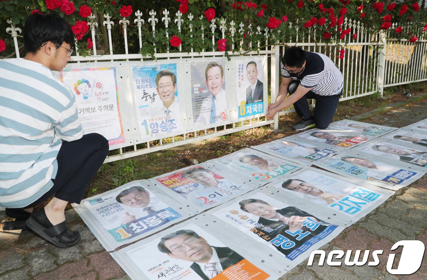 본문 이미지 - 6.13 지방선거 공식 선거운동 첫날인 31일 오전 충남 계룡시 한 거리에서 계룡시선거관리위원회 직원들이 후보자들의 선거 벽보를 부착하고 있다. 뉴스1 ⓒ News1 주기철 기자