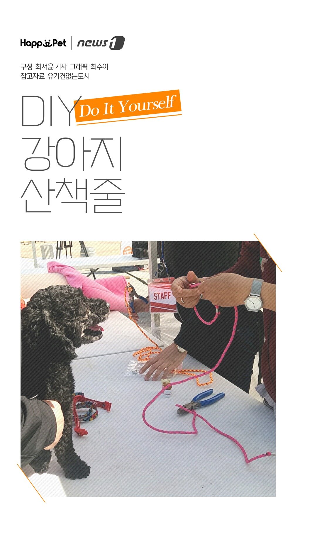 본문 이미지 -  DIY(Do It Yourself) 강아지 산책줄. 참고자료 유기견없는도시.