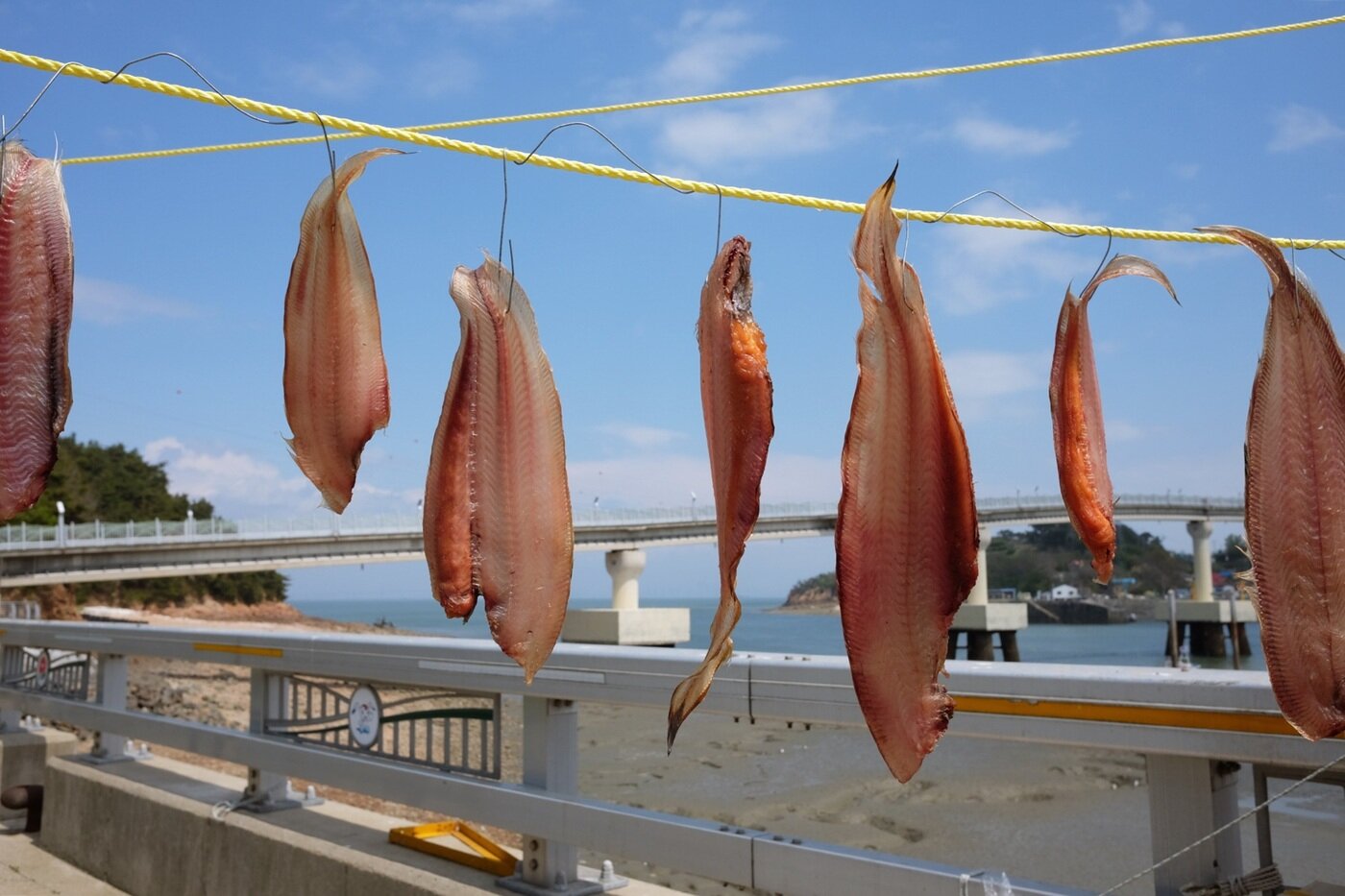 본문 이미지 - 소무의도로 이어진 인도교로 오르기 전,  바닷마을에서만 볼 수 있는 소박한 풍경ⓒ News1