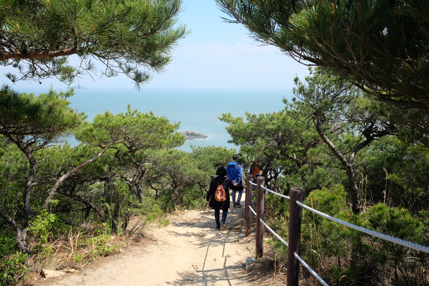 본문 이미지 - 소무의도 무의바다누리길ⓒ News1 