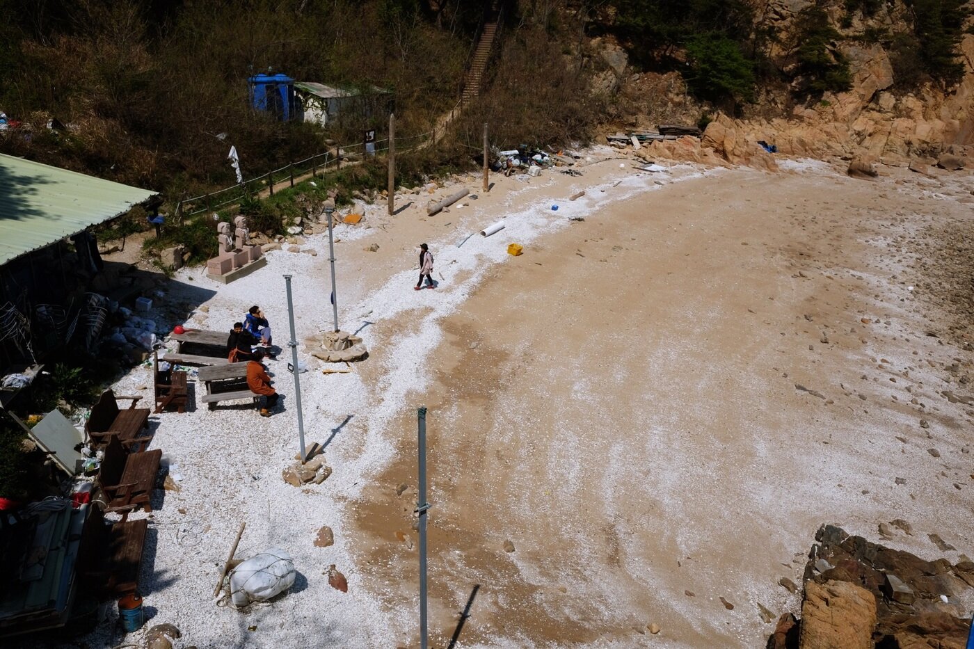 본문 이미지 - 명사의 해변ⓒ News1