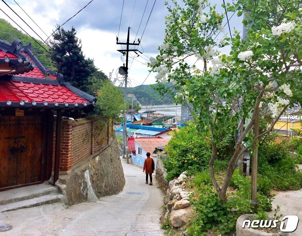 본문 이미지 - 소무의도 마을 풍경ⓒ News1