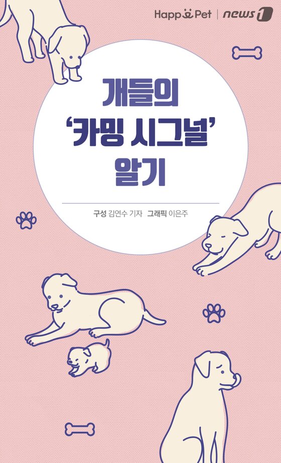 본문 이미지 -