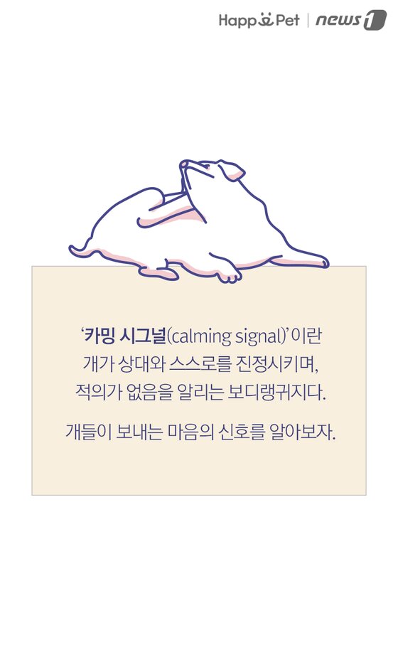 본문 이미지 -