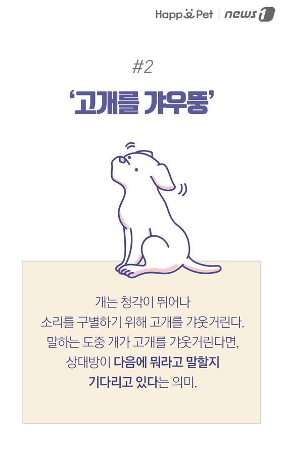 본문 이미지 -