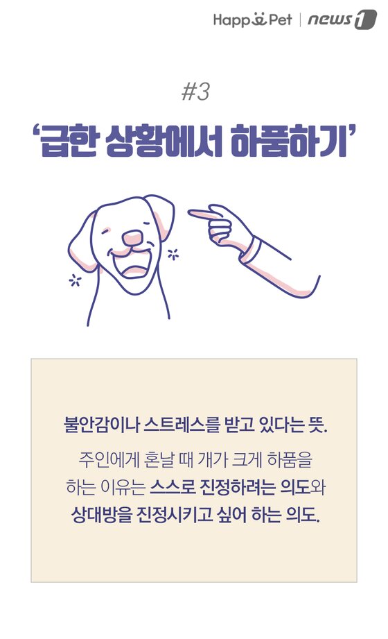 본문 이미지 -