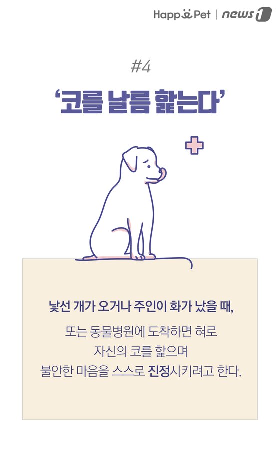 본문 이미지 -