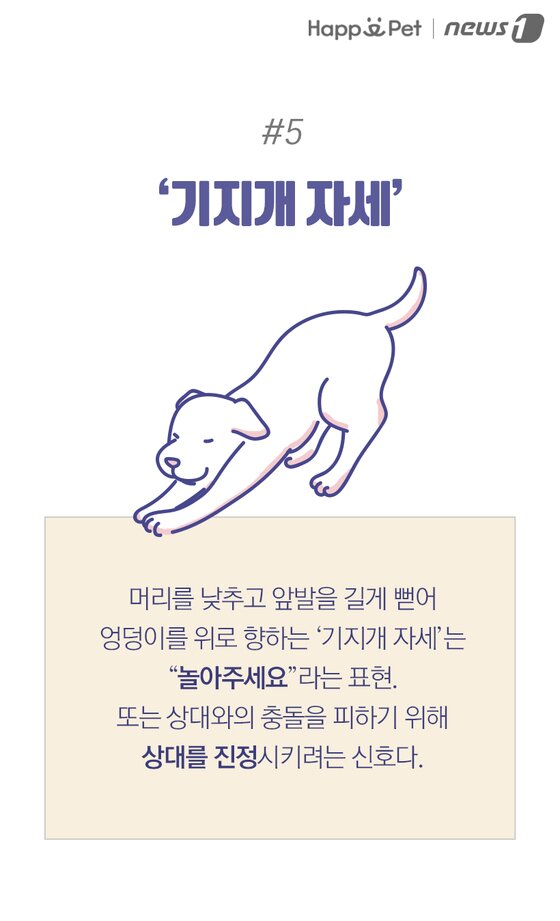 본문 이미지 -