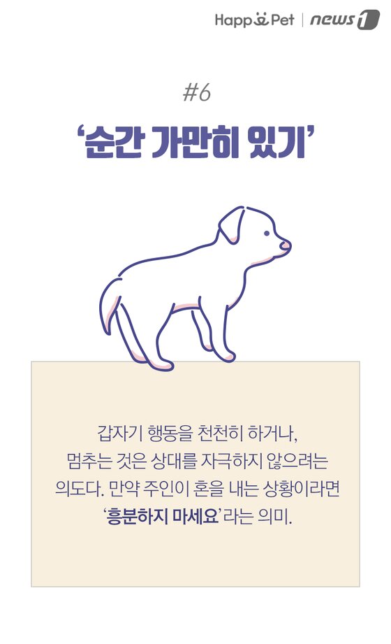 본문 이미지 -