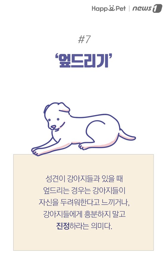 본문 이미지 -
