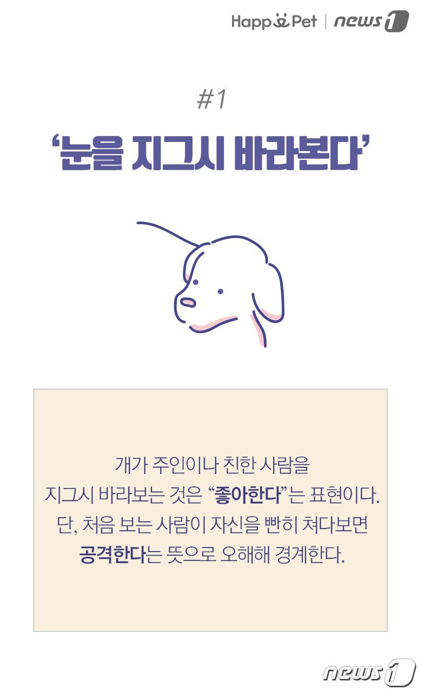 본문 이미지 -