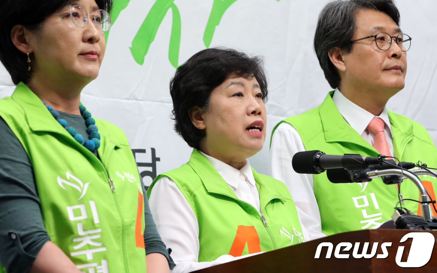 본문 이미지 - 조배숙 민주평화당 대표와 김광수, 박주현 국회의원이 12일 전북 전주시 전북도의회에서 기자회견을 하고 있다.2018.6.12/뉴스1 ⓒ News1 문요한 기자