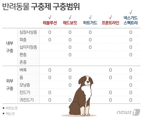 본문 이미지 - ⓒ News1 최수아 디자이너