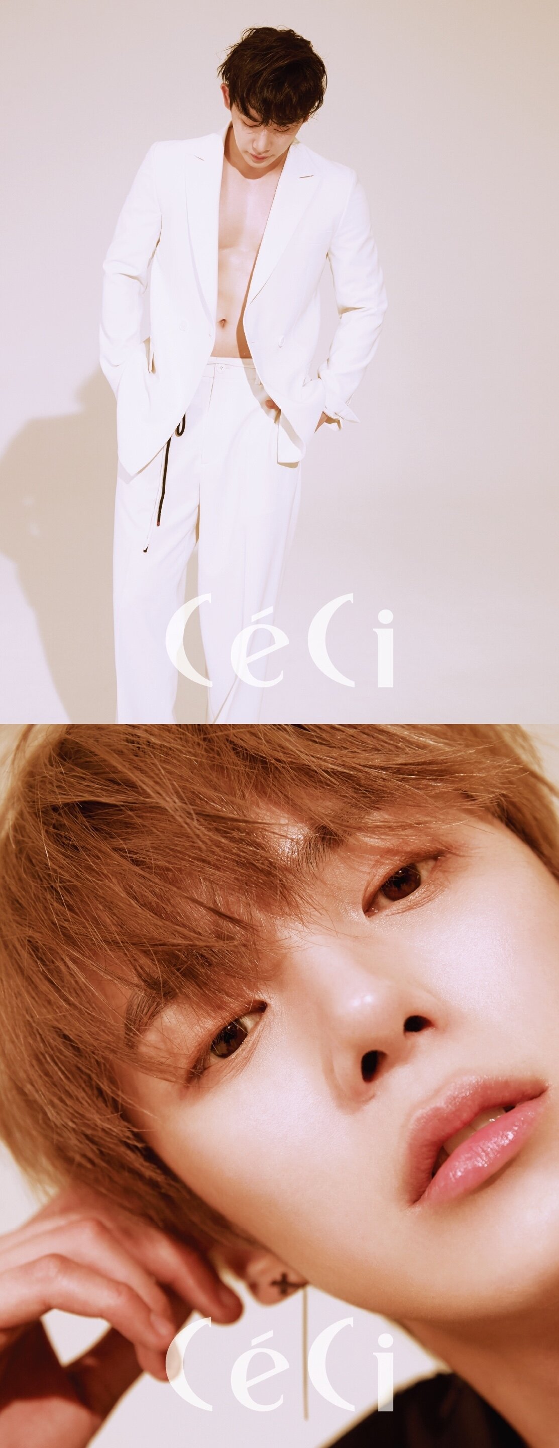 본문 이미지 - 쎄씨 ⓒ News1