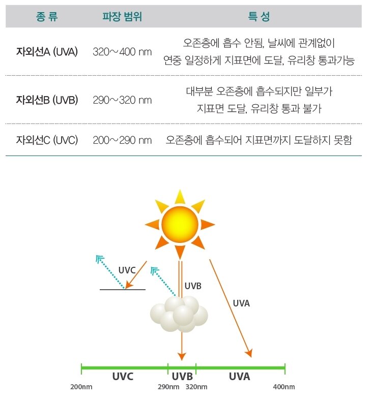 본문 이미지 - 자료:식품의약품 안전평가원ⓒ News1