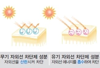 본문 이미지 - 자료:식품의약품 안전평가원ⓒ News1