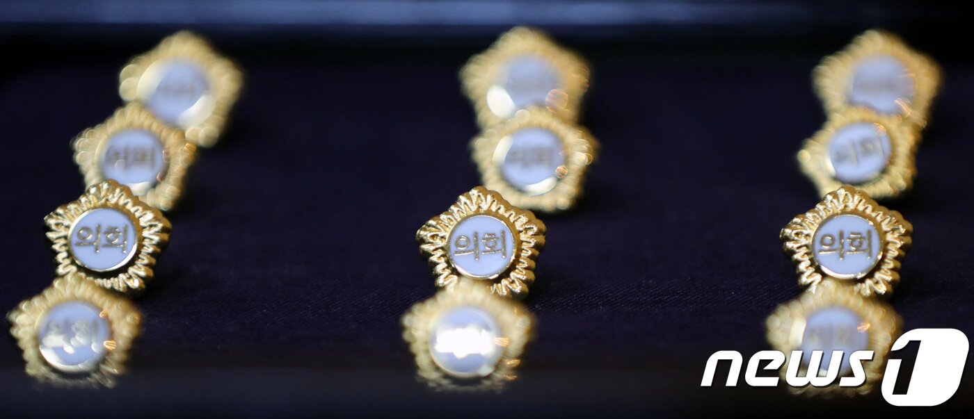 본문 이미지 - 지방의원 배지. 뉴스1 ⓒ News1 자료 사진