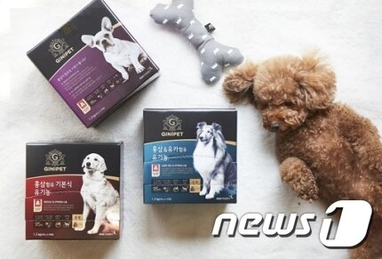 본문 이미지 - 사진 KGC인삼공사 제공. ⓒ News1