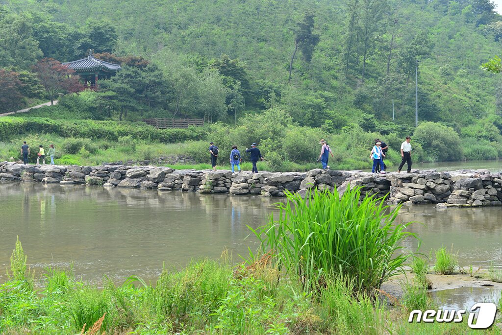 본문 이미지 - 진천 초롱길을 걷는 사람들(한국관광공사 제공)/뉴스1 ⓒ News1