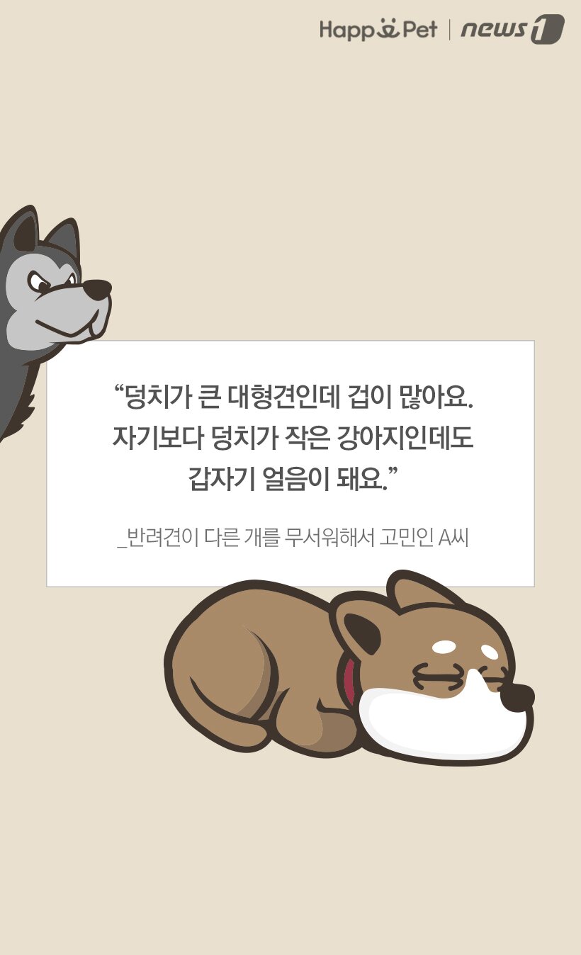 본문 이미지 -  
