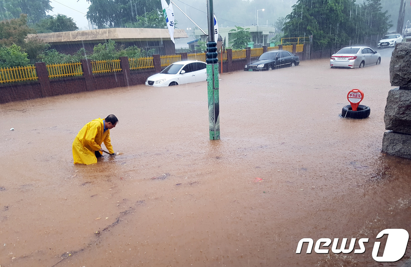 (보성=뉴스1) 지정운 기자 = 1일 오전 내린 많은 비로 보성읍의 한 도로가 흙탕물로 침수돼 있다. 이날 오전 11시30분까지 보성지역은 복내면에 218㎜, 보성읍 89㎜의 비가 …