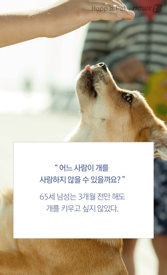 본문 이미지 -  