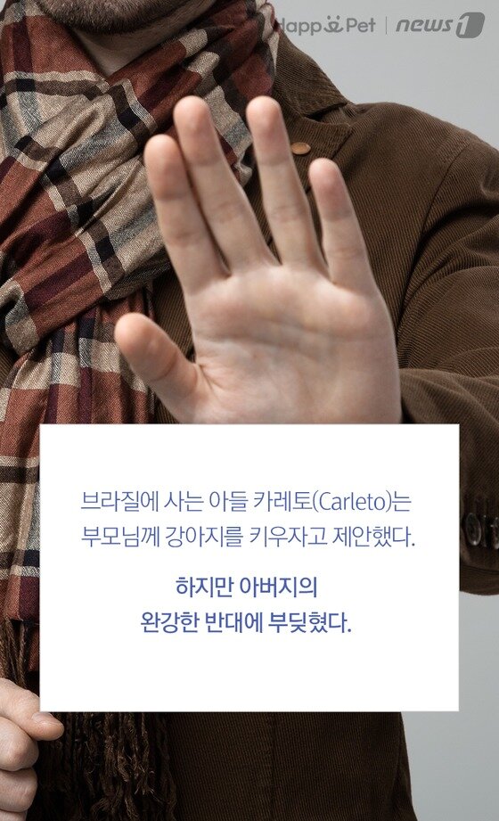 본문 이미지 -  