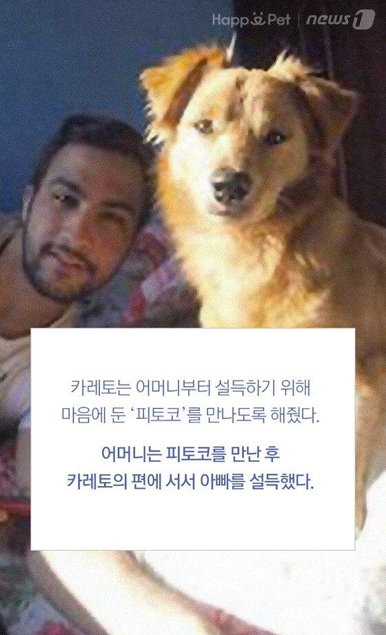 본문 이미지 -  