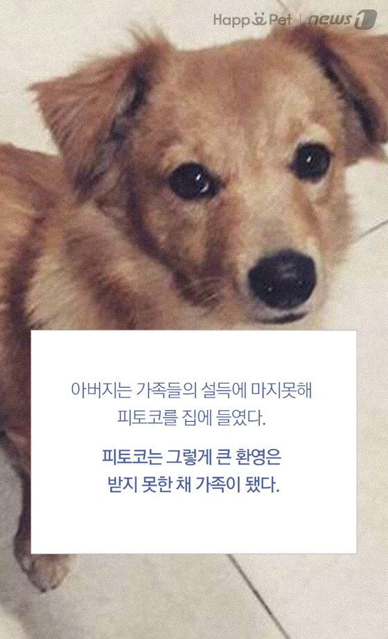 본문 이미지 -  