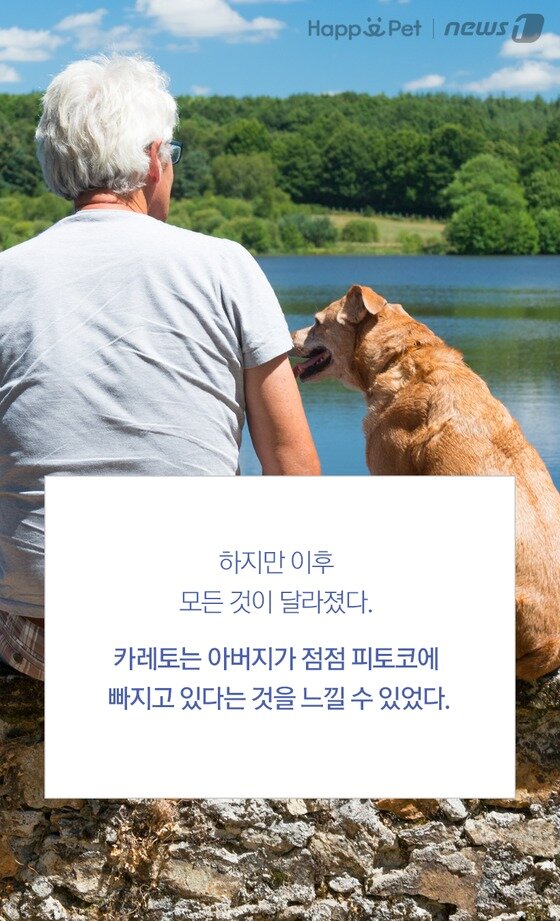 본문 이미지 -  