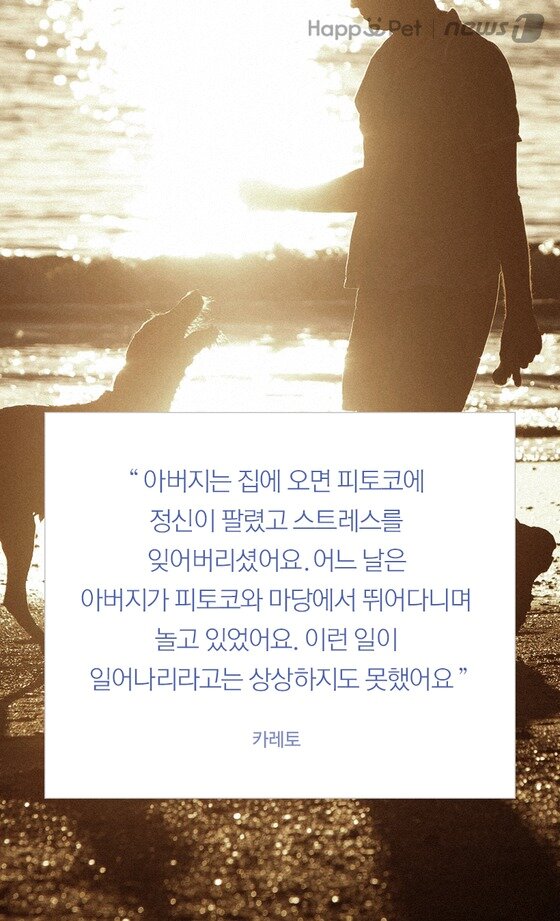 본문 이미지 -  