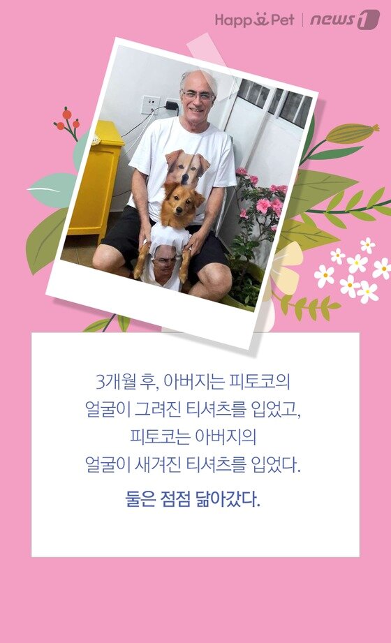 본문 이미지 -  