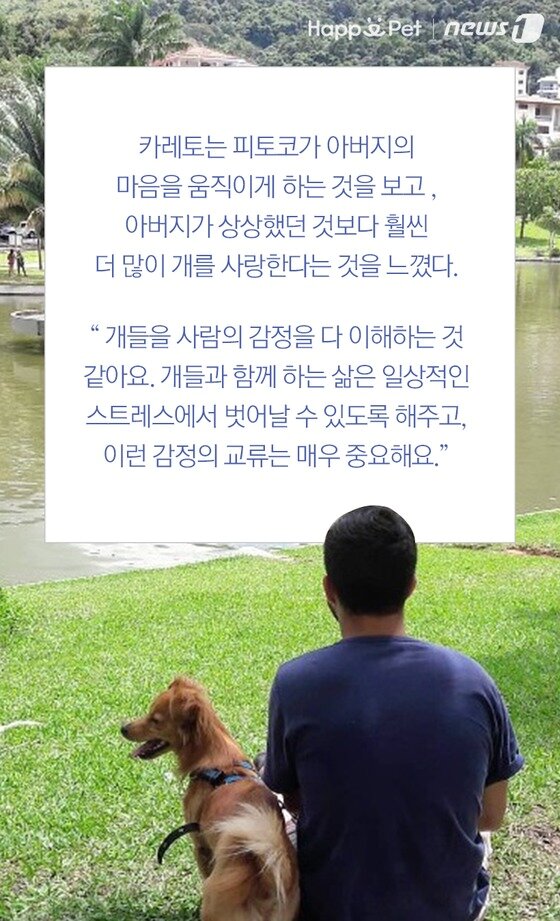 본문 이미지 -  