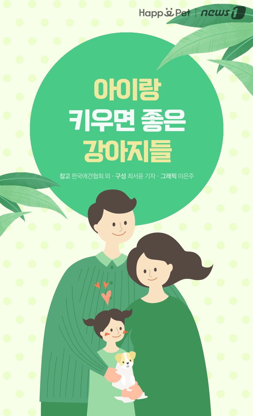 본문 이미지 -  참고 한국애견협회 외