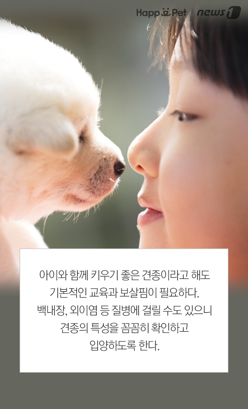 본문 이미지 -  
