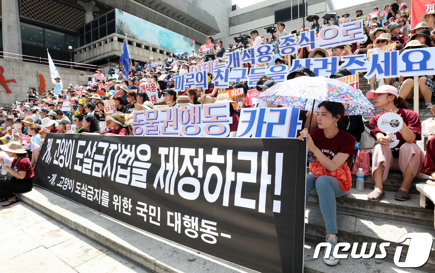 (서울=뉴스1) 박지수 기자 = 카라·케어·행강(행복한 강아지들이 사는 집)·동물자유연대·동물해방물결 등 동물보호단체 회원들이 15일 오후 서울 종로구 세종문화회관 계단에서 '개· …