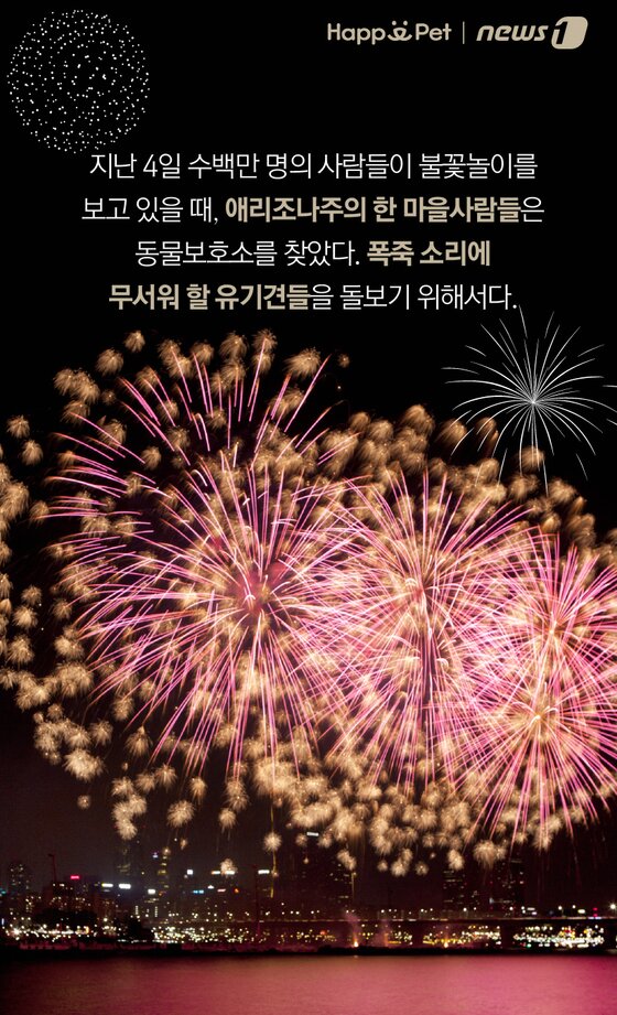 본문 이미지 -  