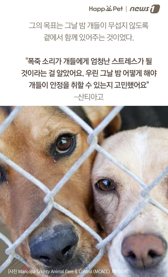 본문 이미지 -  
