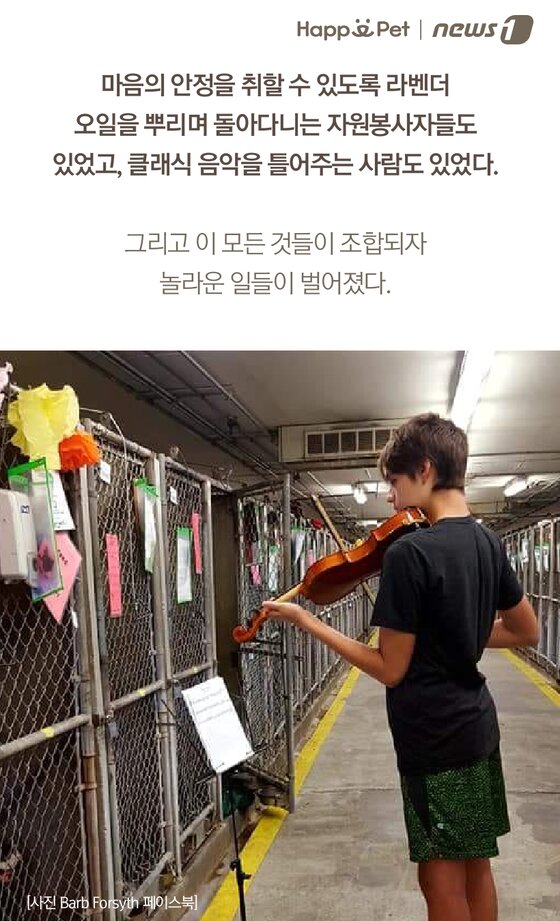 본문 이미지 -  