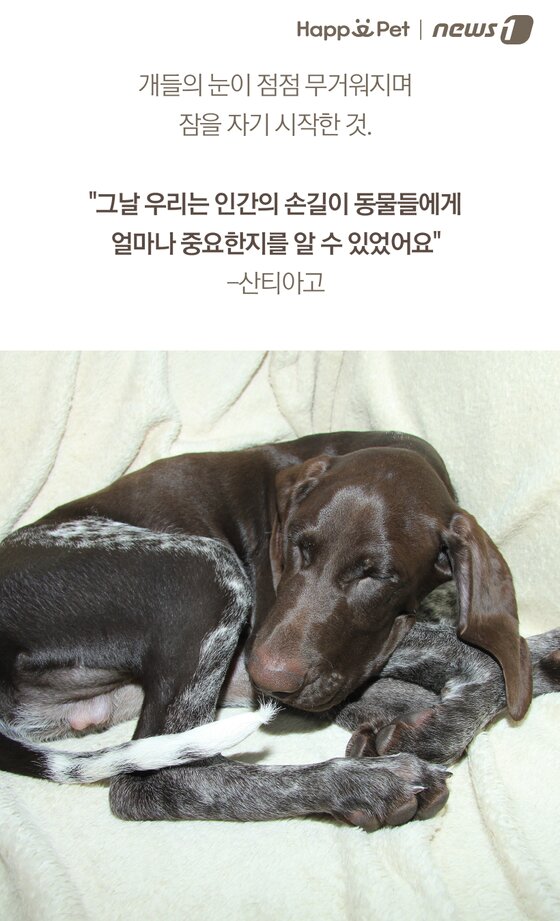 본문 이미지 -  