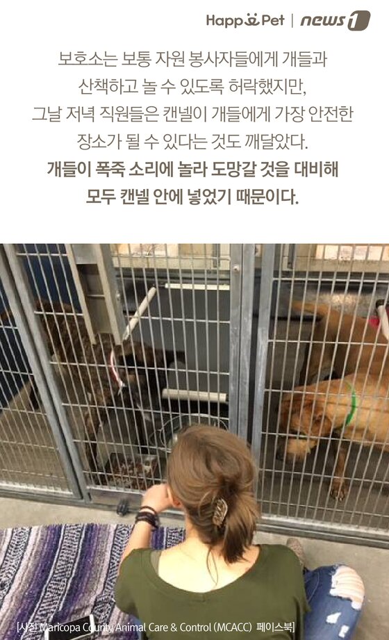 본문 이미지 -  