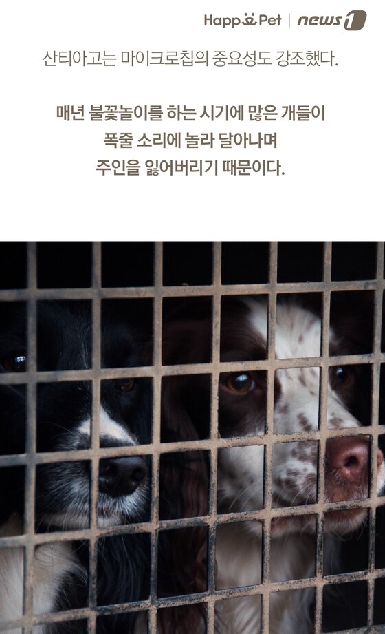 본문 이미지 -  