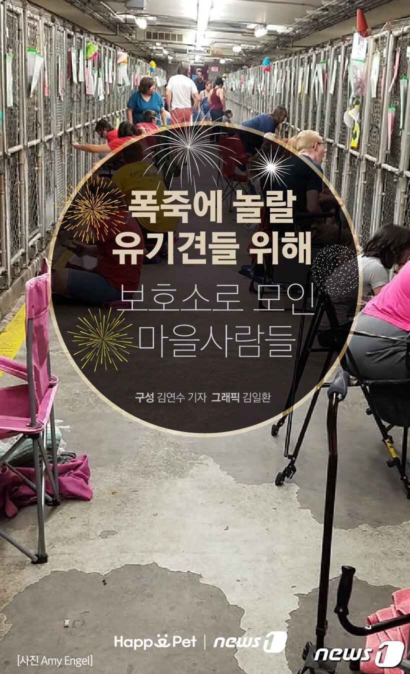 본문 이미지 -  
