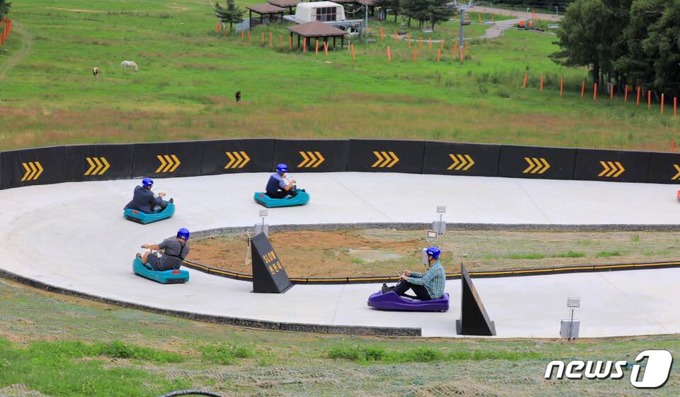 본문 이미지 - 루지ⓒ News1 