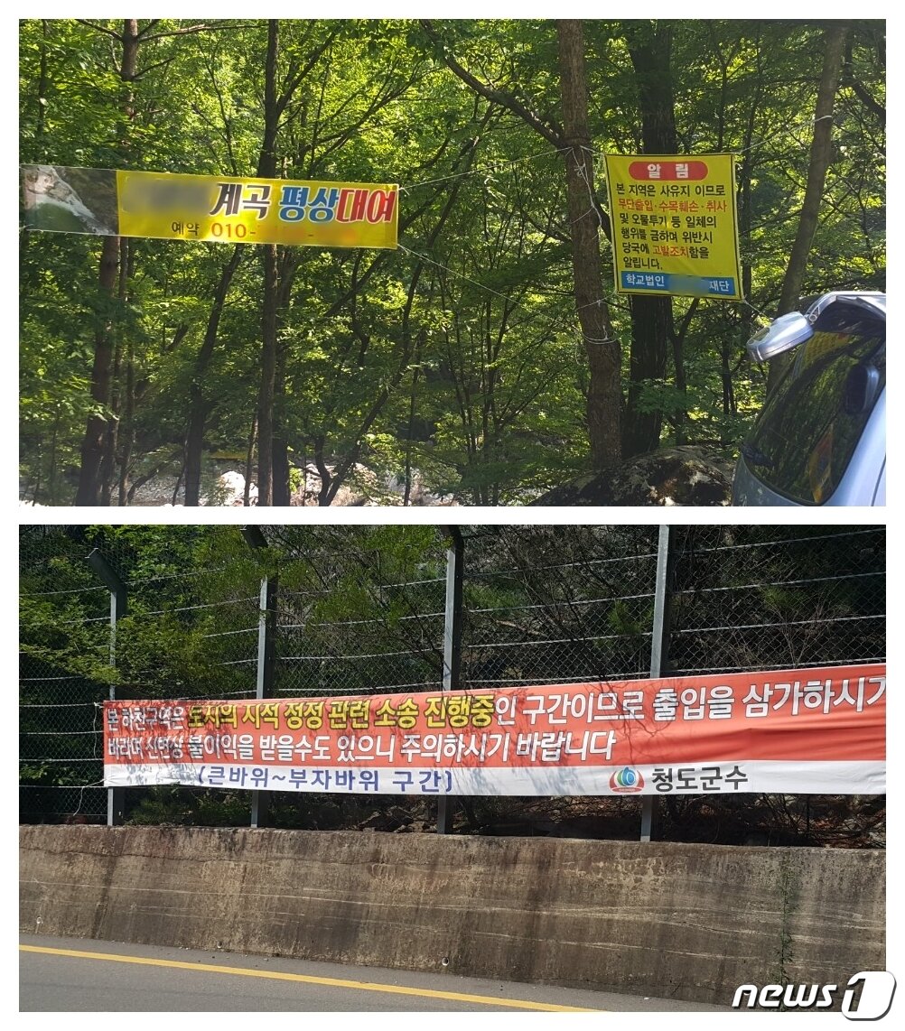 본문 이미지 - 청도 삼계계곡 곳곳에 내걸린 '평상대여' 영업을 안내하는 현수막과 '토지 지적정정 소송 중'을 알리며 '출입을 자제하라'는 청도군의 현수막이 대조를 이루고 있다. 2018. 7. 17. 정지훈 기자/뉴스1ⓒ News1