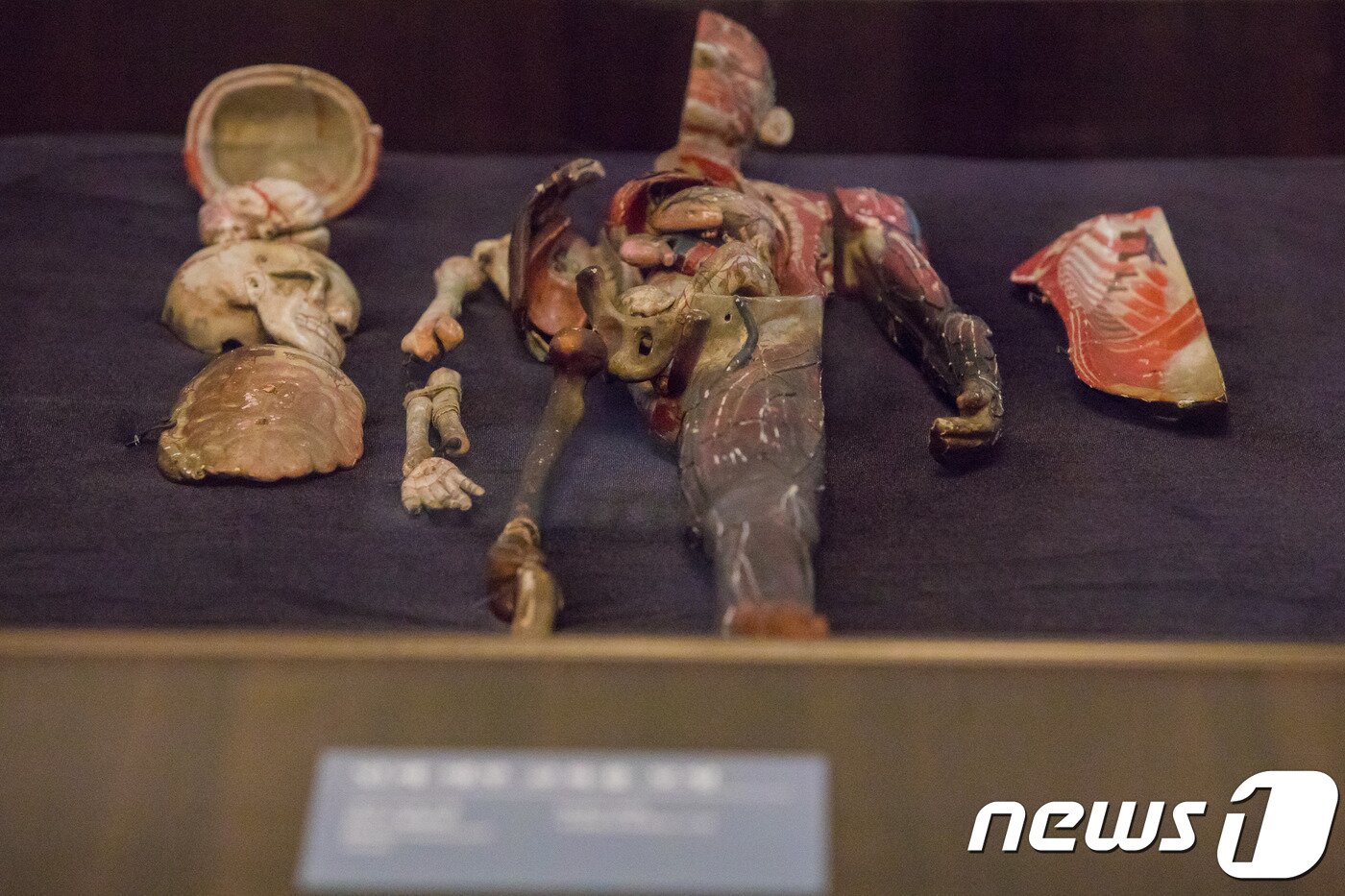 본문 이미지 - 인체해부모형ⓒ News1