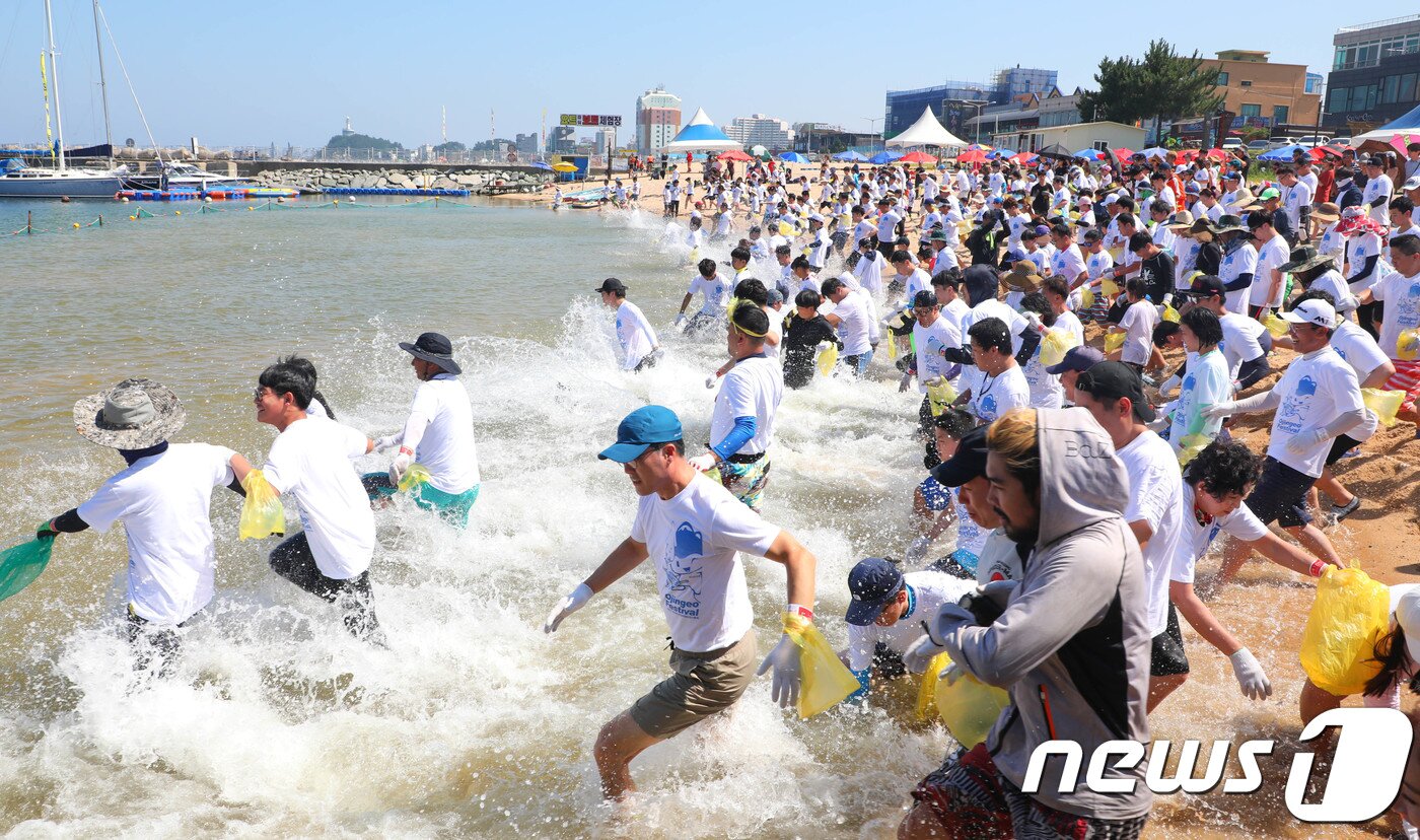 본문 이미지 - 속초 장사항 오징어맨손잡기 축제/뉴스1 ⓒ News1 고재교 기자