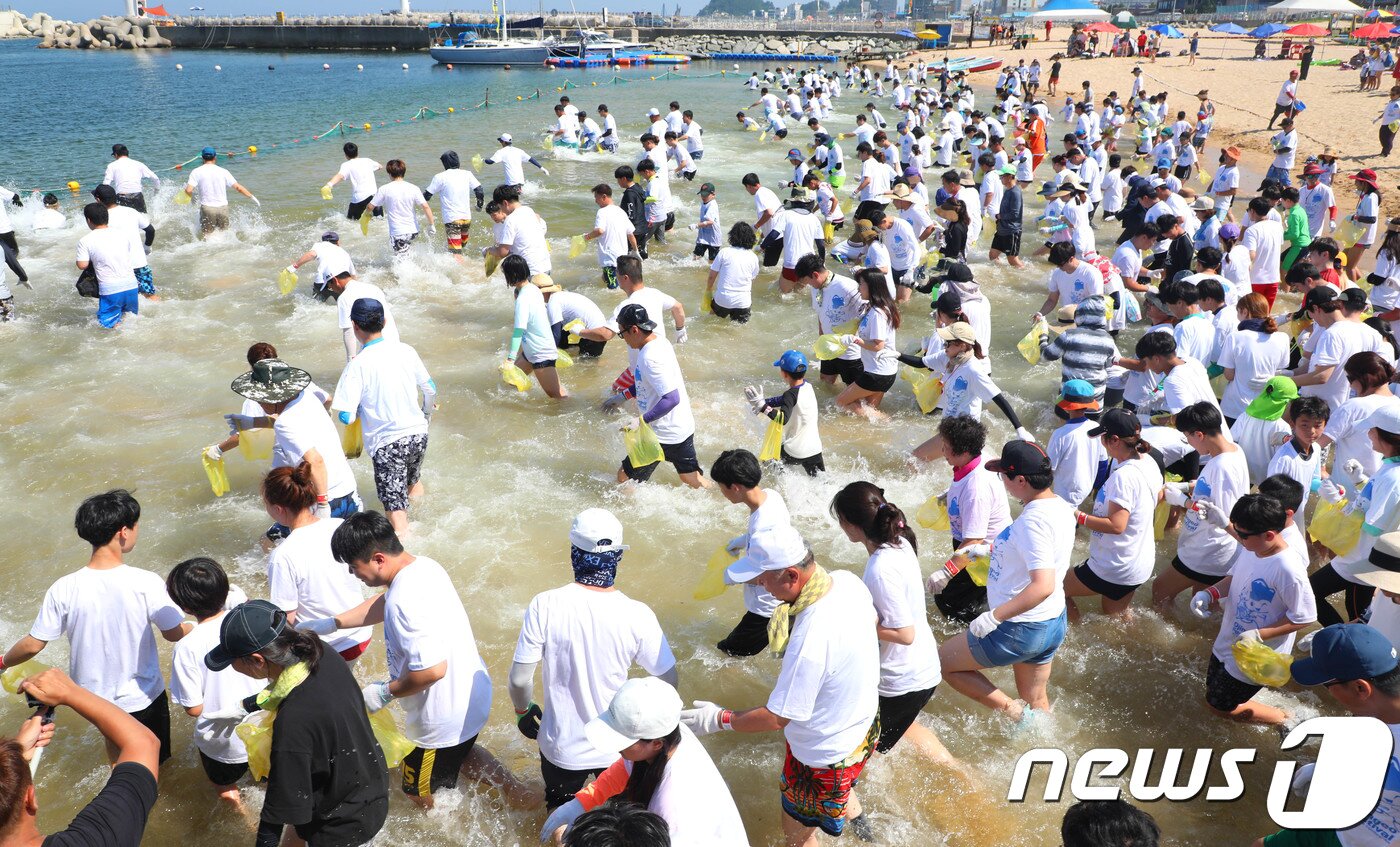 본문 이미지 - 속초 장사항 오징어맨손잡기 축제ⓒ News1