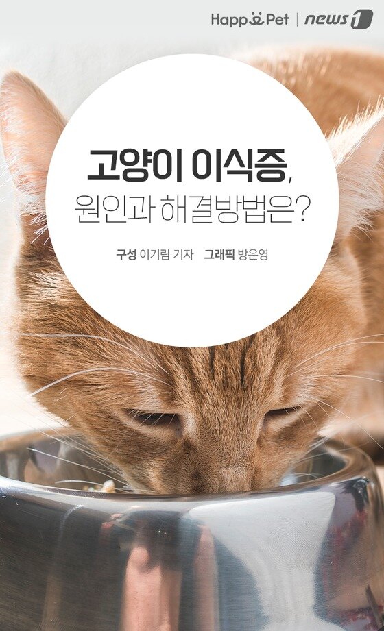 본문 이미지 -  
